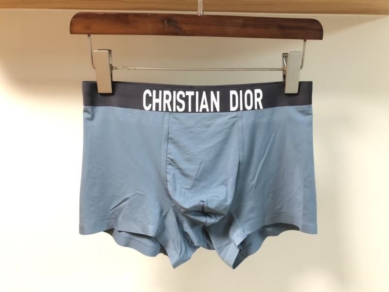 Dior Panties